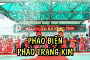 phao lua dien phao trang kim 65a6565da837e