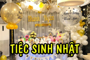tiec sinh nhat 659fa1d2c6389