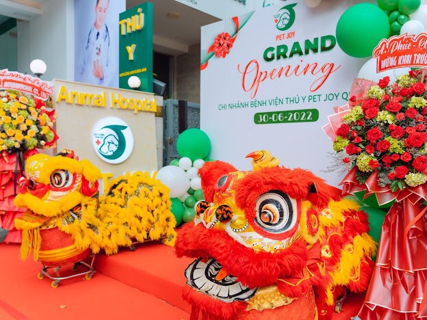 Dịch vụ cho thuê múa lân khai trương cửa hàng 4 Dịch vụ cho thuê múa lân khai trương