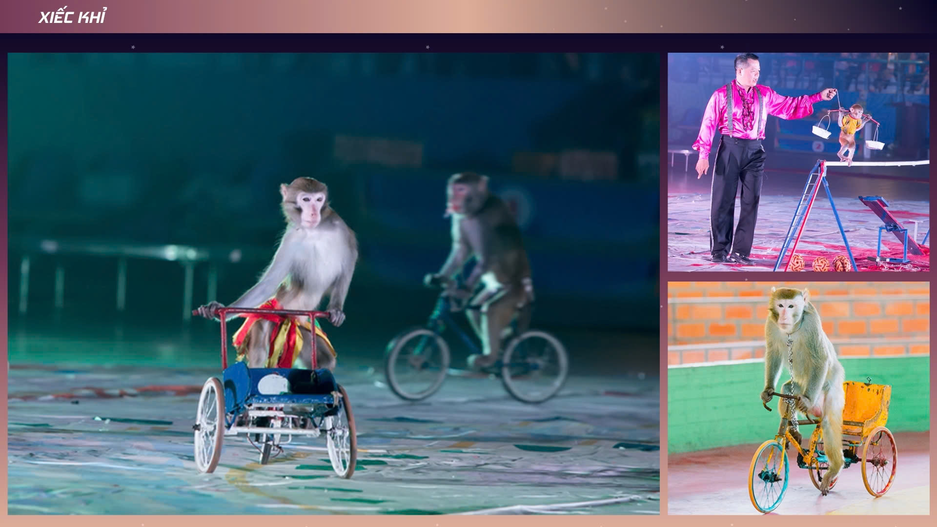 Bảng Báo Giá Dịch Vụ Tổ Chức Trung Thu Tại TV Media Event Năm 2025 16 to chuc trung thu 2025 2