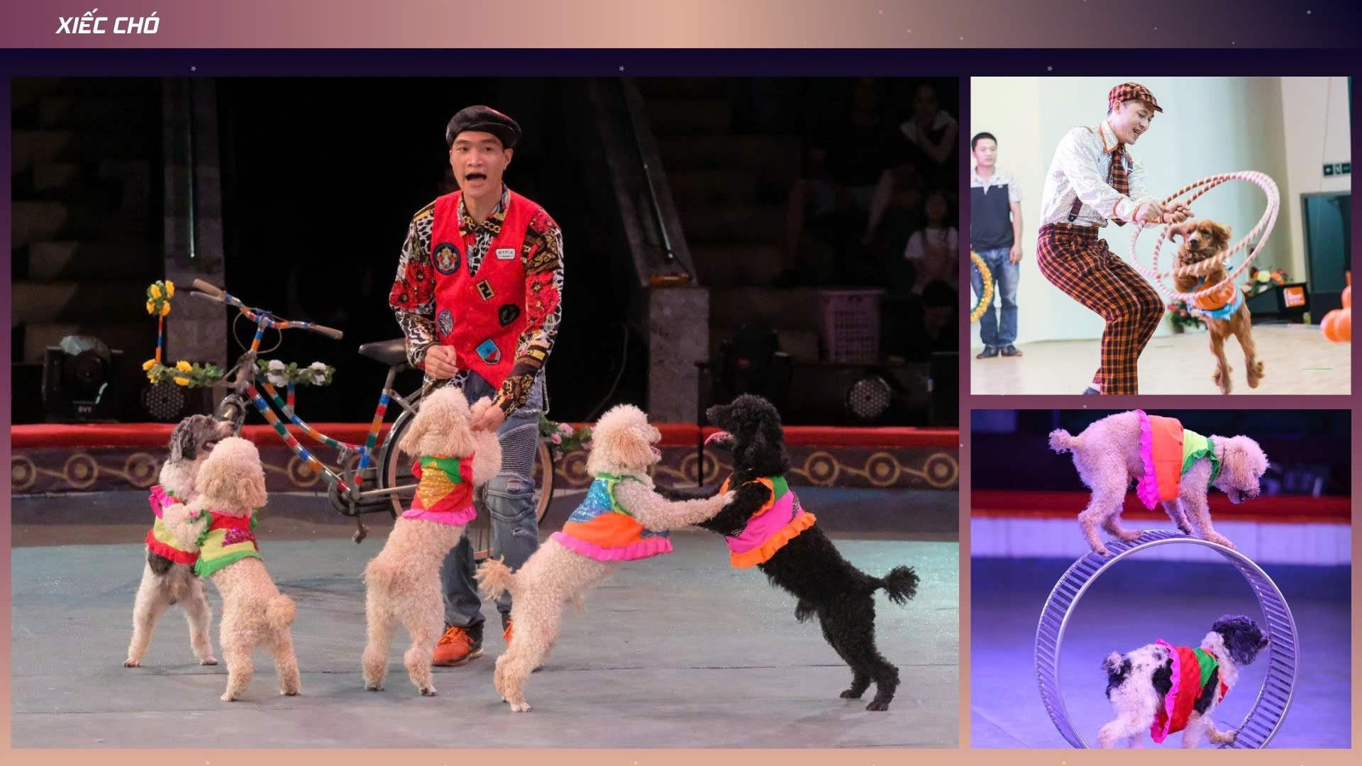 Bảng Báo Giá Dịch Vụ Tổ Chức Trung Thu Tại TV Media Event Năm 2025 18 to chuc trung thu 2025 5